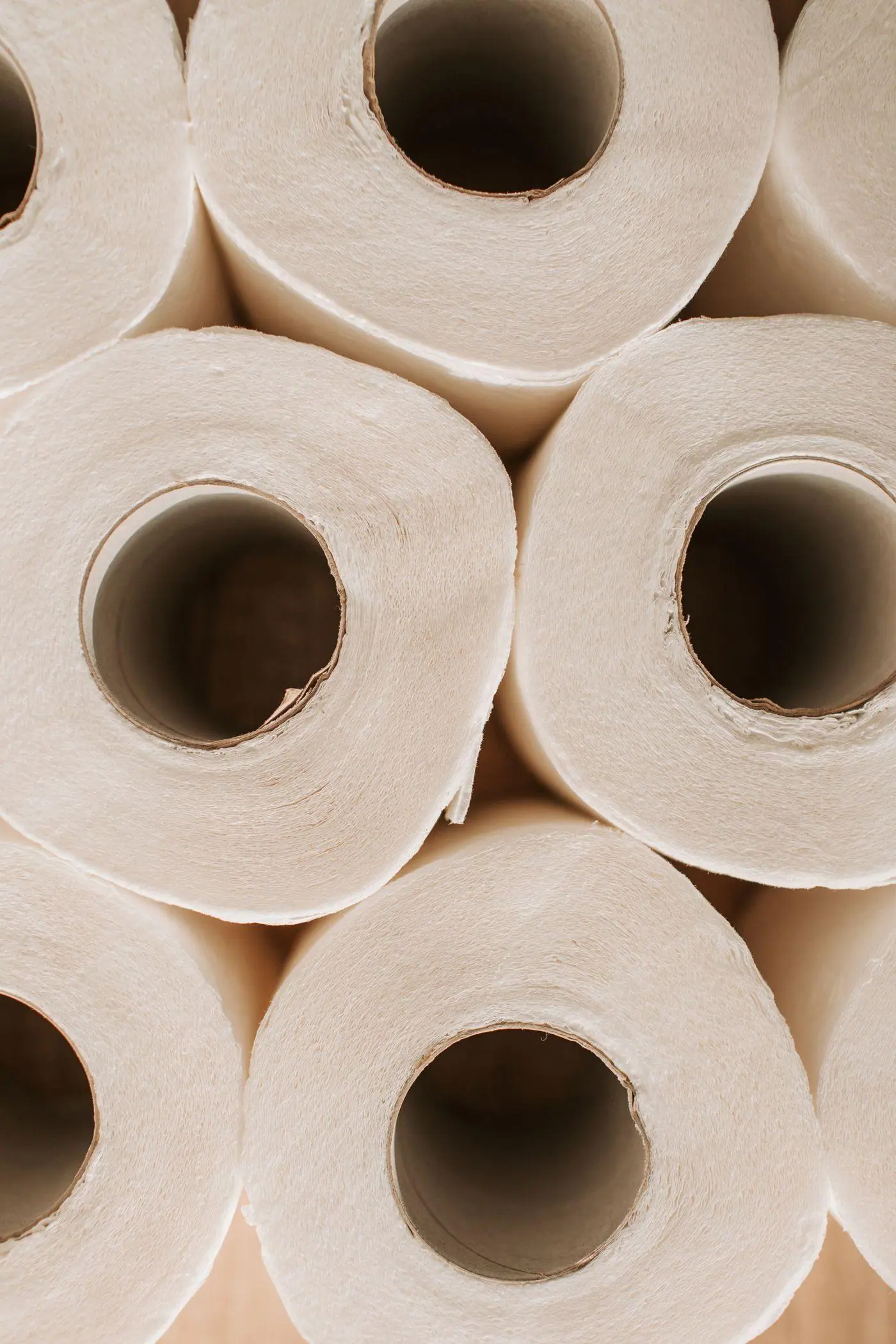 Toilet rolls stacked ready for a common-area washroom